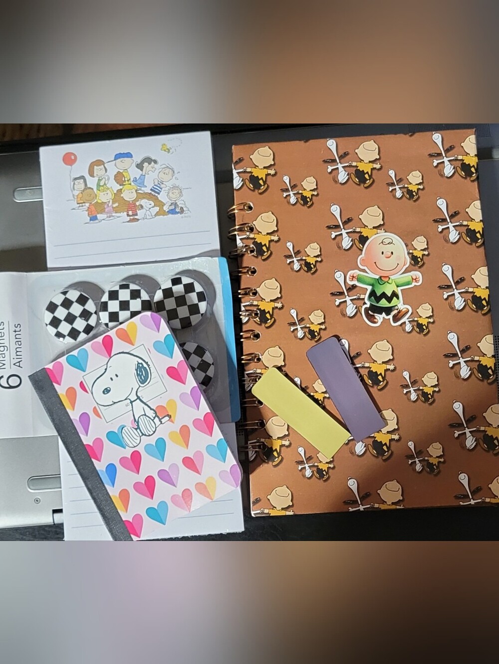 Handmade charlie brown notebook and accessories.